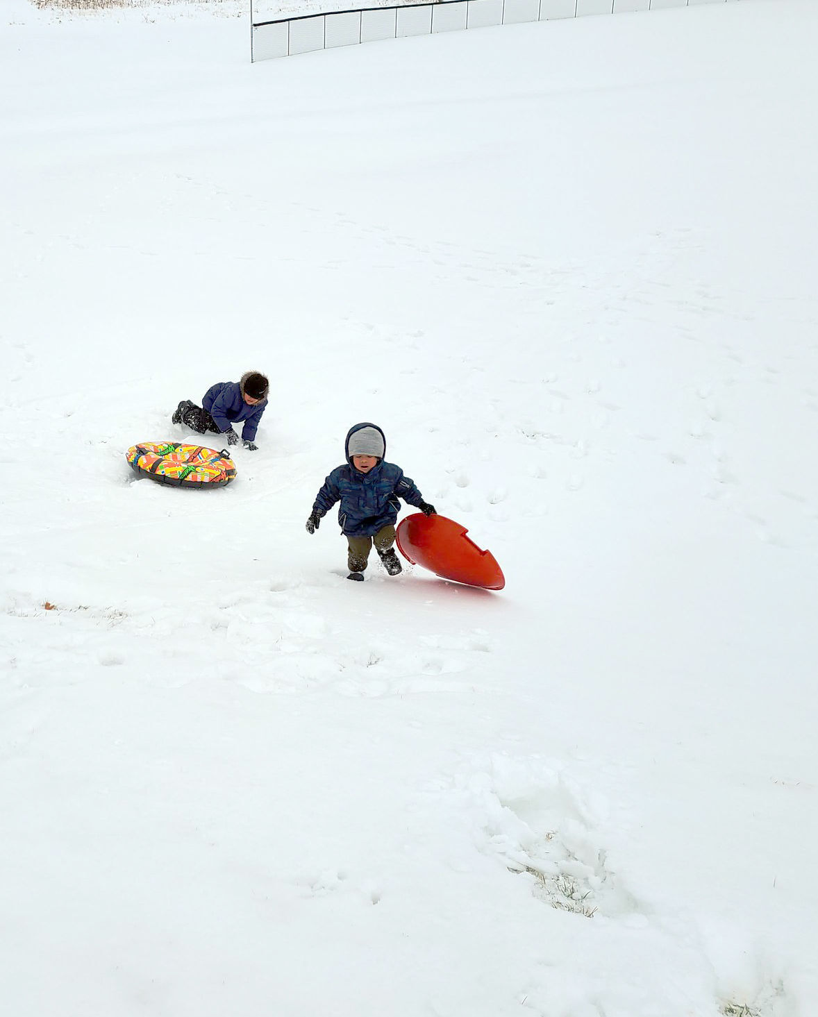 Brothers and sleds